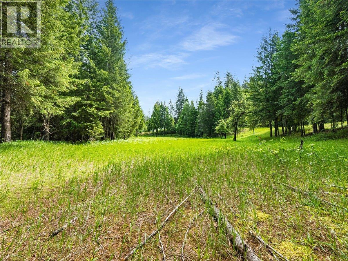 2621 3a Highway, Castlegar, British Columbia  V1N 4P5 - Photo 34 - 10398006