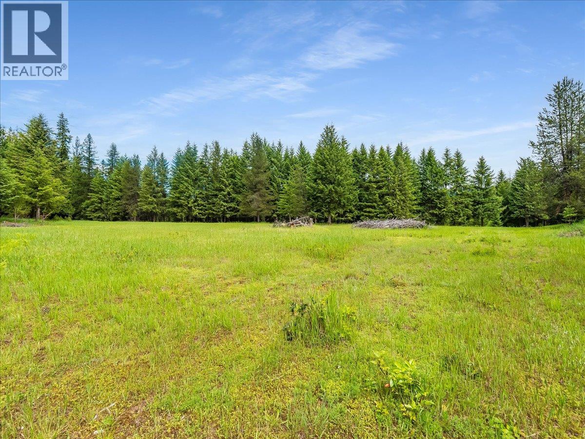 2621 3a Highway, Castlegar, British Columbia  V1N 4P5 - Photo 31 - 10398006