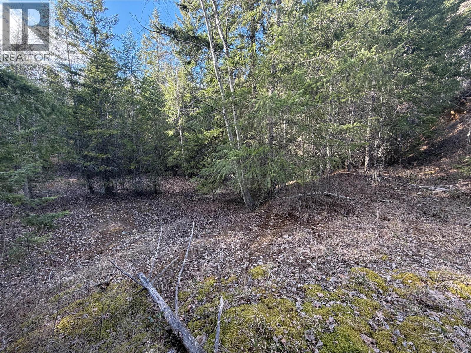532 Agate Bay Road, Barriere, British Columbia  V0E 2E0 - Photo 19 - 10378072
