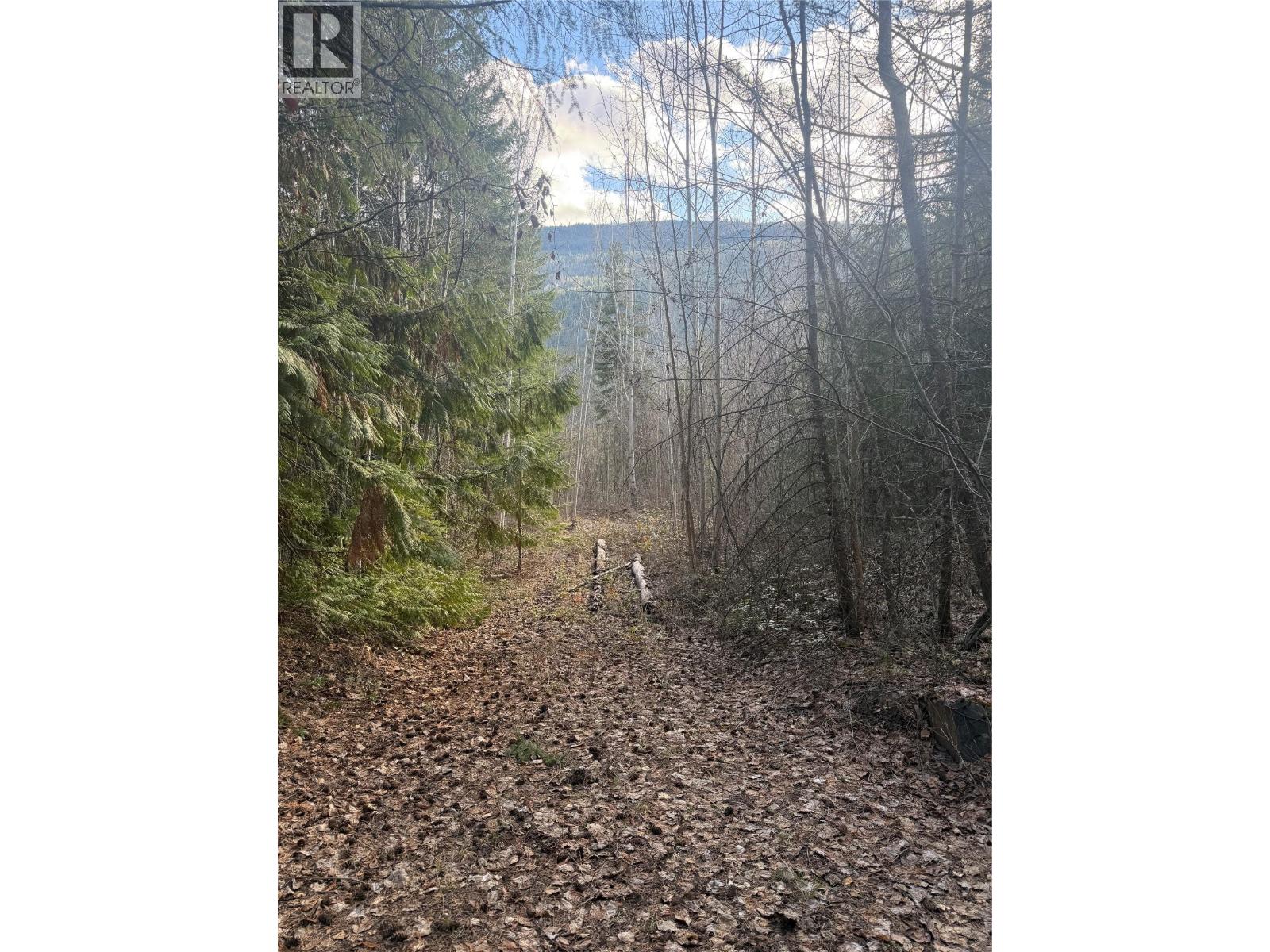 532 Agate Bay Road, Barriere, British Columbia  V0E 2E0 - Photo 14 - 10378072