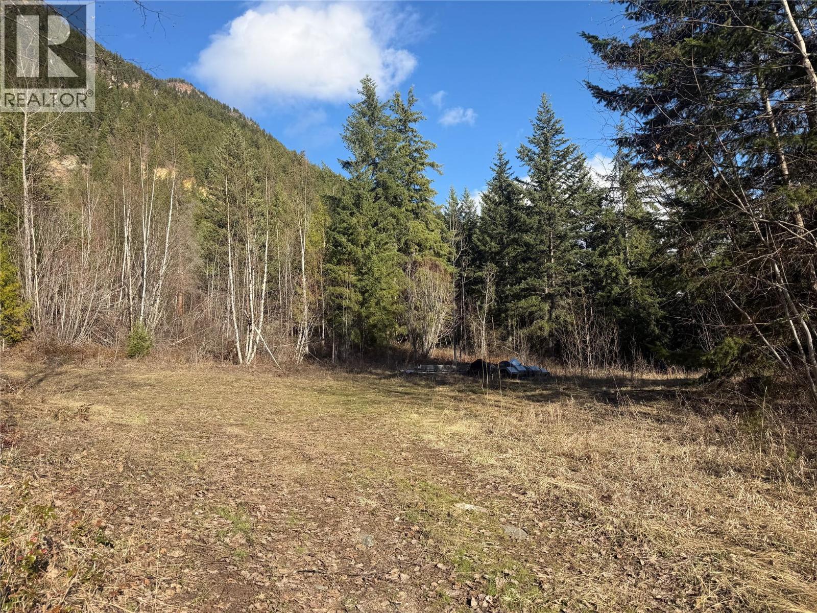 532 Agate Bay Road, Barriere, British Columbia  V0E 2E0 - Photo 11 - 10378072