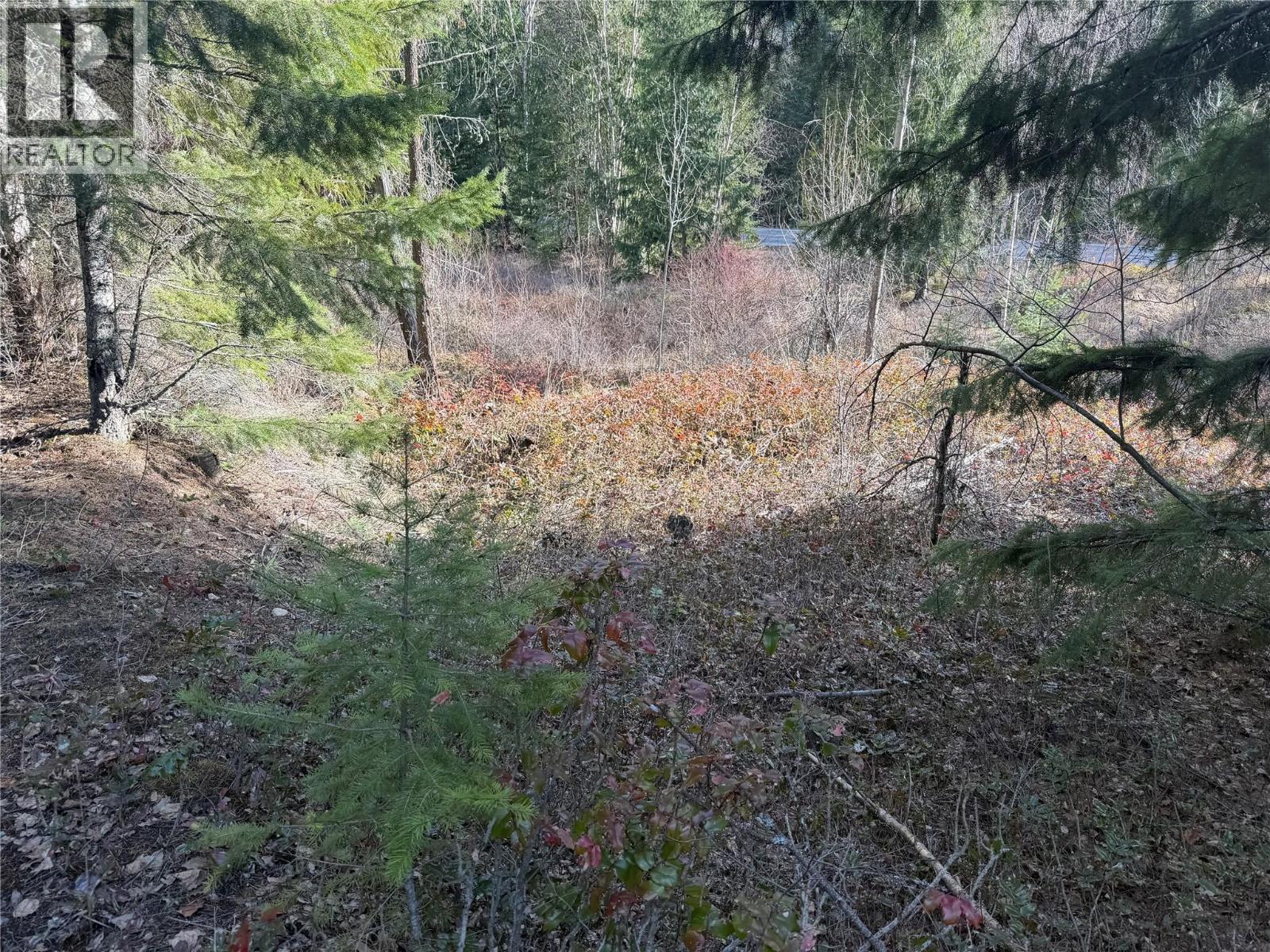 532 Agate Bay Road, Barriere, British Columbia  V0E 2E0 - Photo 18 - 10378072