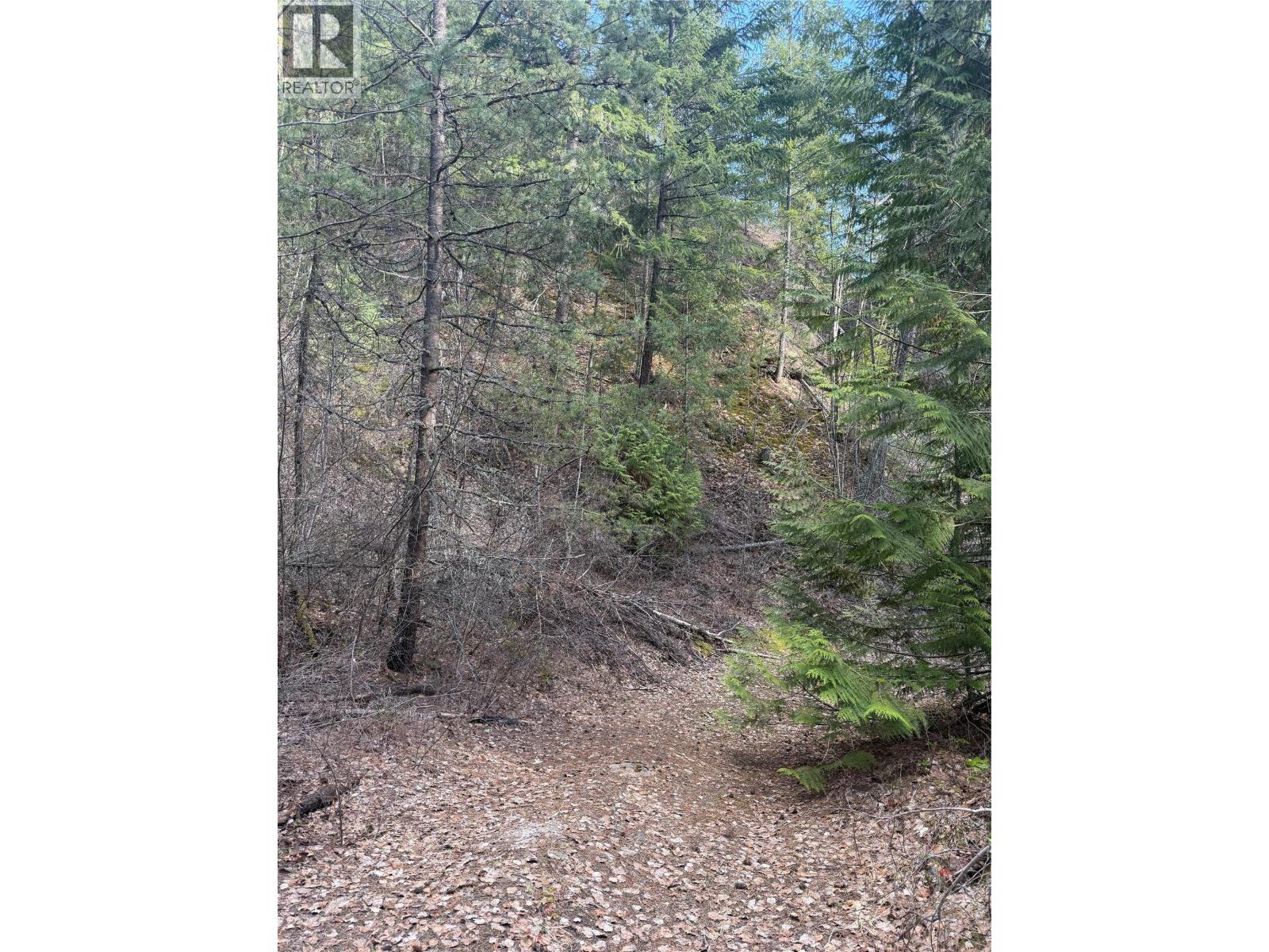 532 Agate Bay Road, Barriere, British Columbia  V0E 2E0 - Photo 17 - 10378072