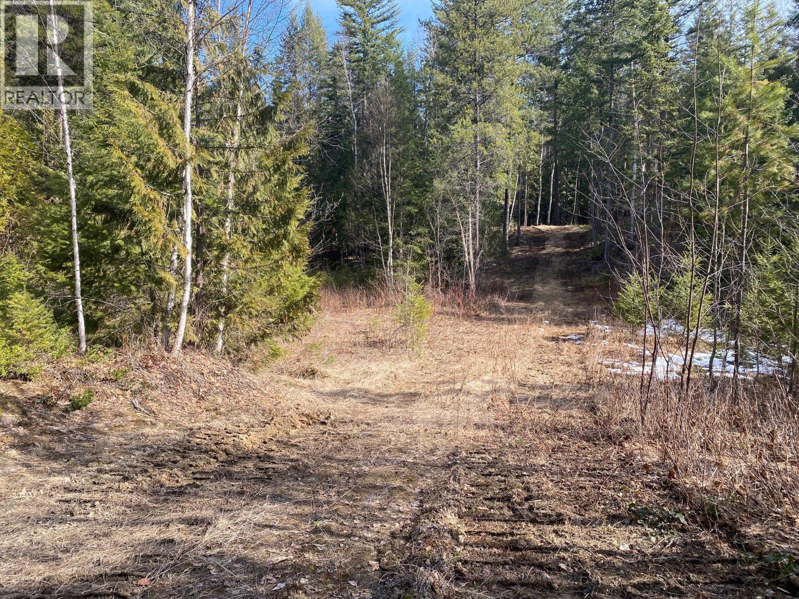 134 Wadlegger Road, Clearwater, British Columbia  V0E 1N0 - Photo 18 - 10390196