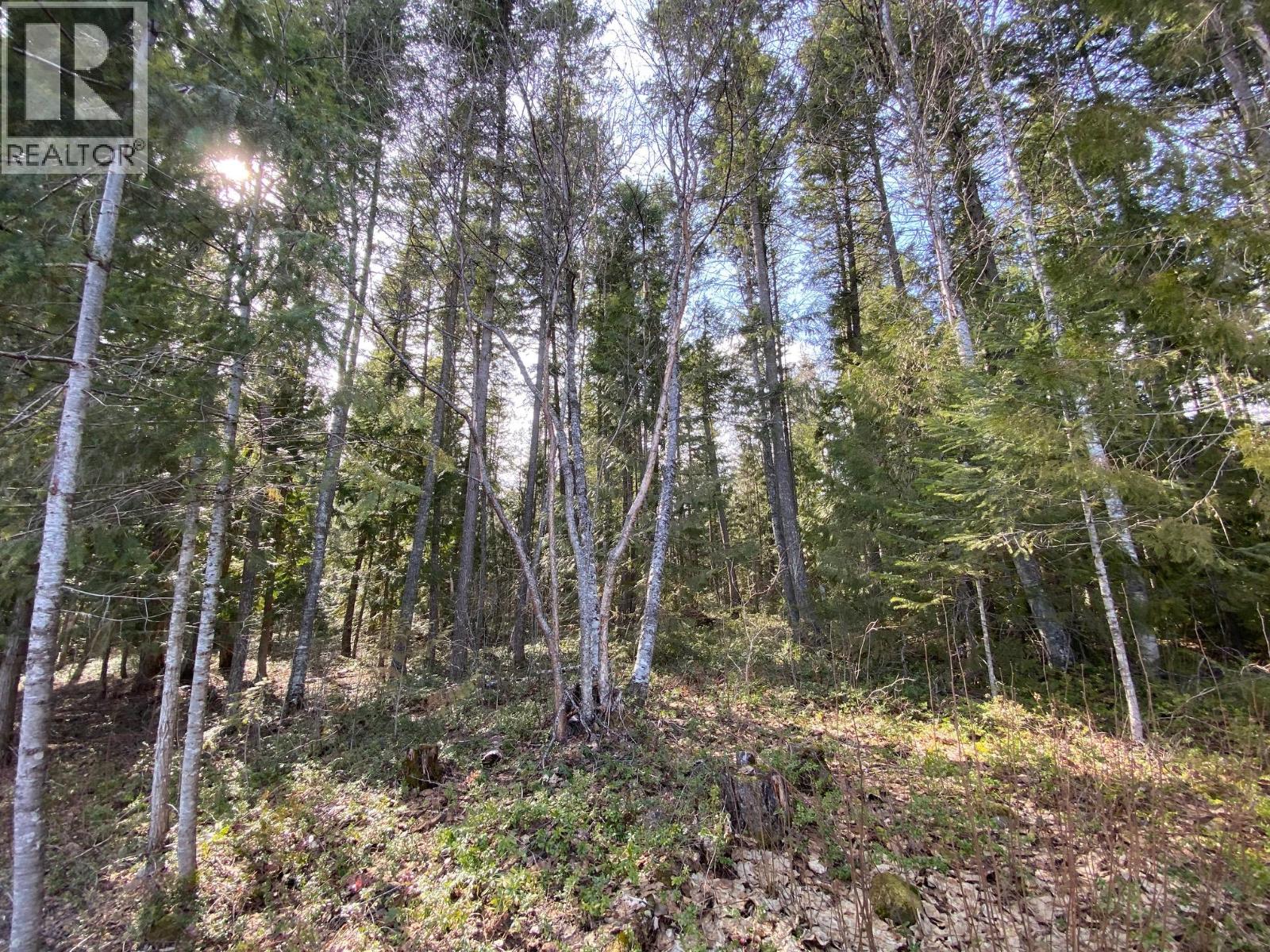 134 Wadlegger Road, Clearwater, British Columbia  V0E 1N0 - Photo 29 - 10390196
