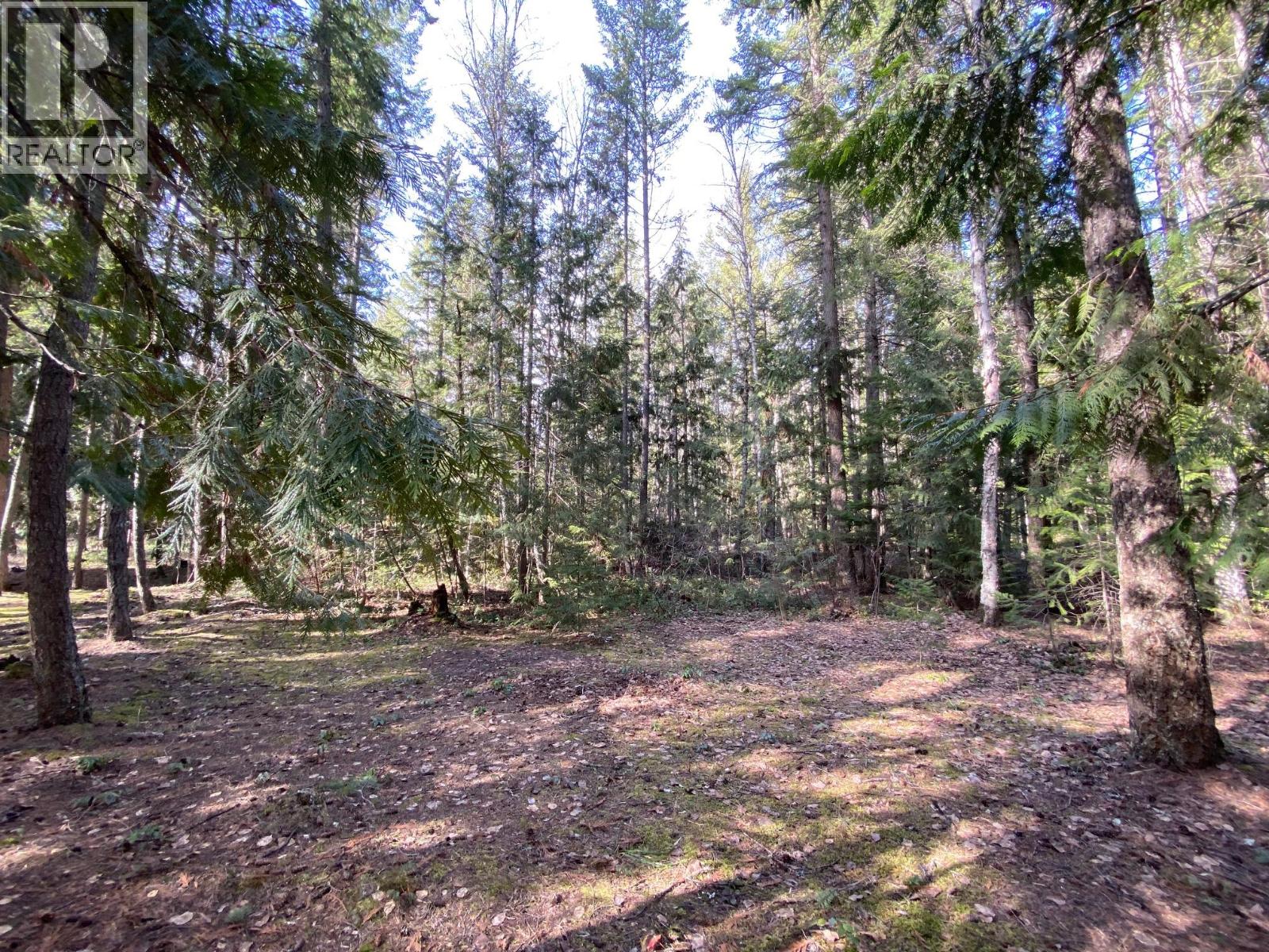 134 Wadlegger Road, Clearwater, British Columbia  V0E 1N0 - Photo 31 - 10390196