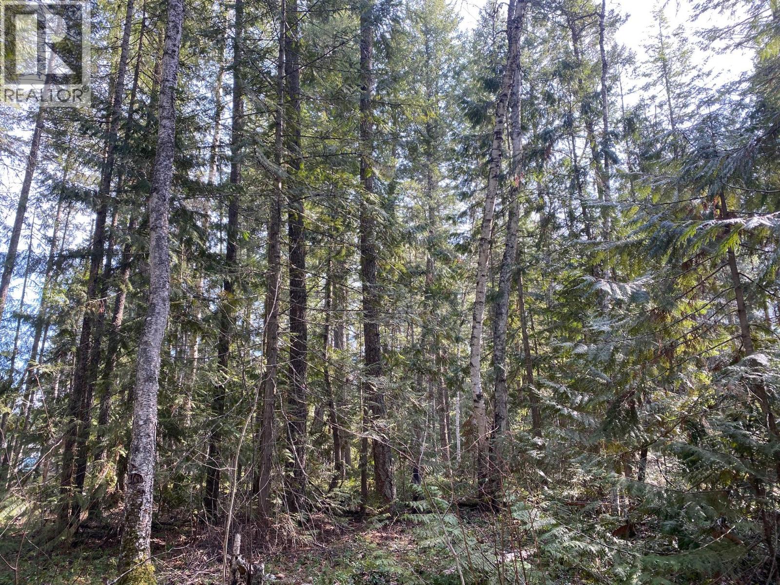 134 Wadlegger Road, Clearwater, British Columbia  V0E 1N0 - Photo 27 - 10390196