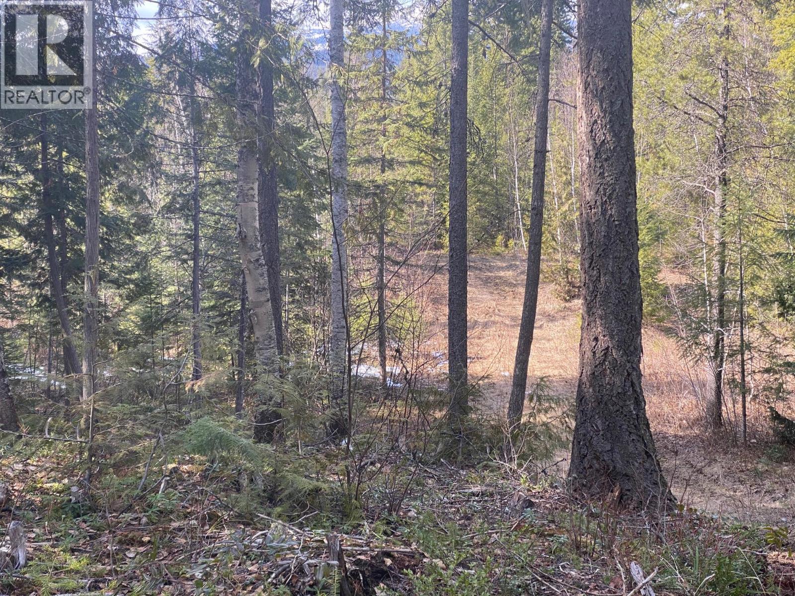 134 Wadlegger Road, Clearwater, British Columbia  V0E 1N0 - Photo 33 - 10390196