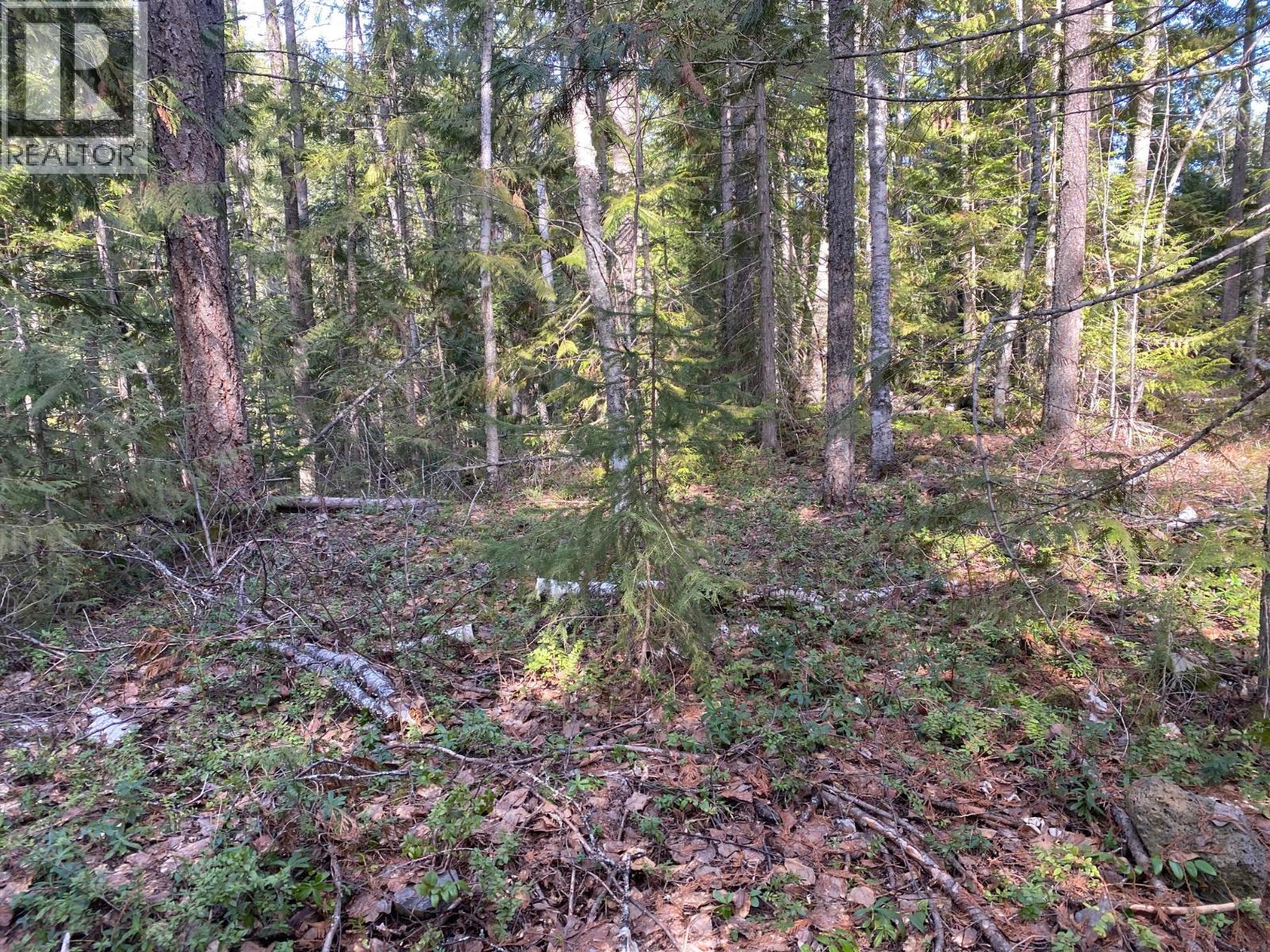 134 Wadlegger Road, Clearwater, British Columbia  V0E 1N0 - Photo 25 - 10390196