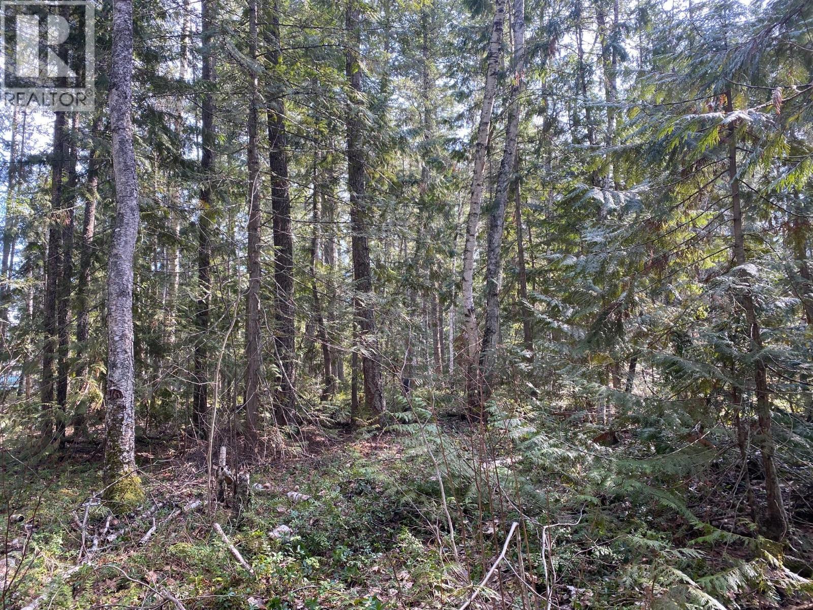 134 Wadlegger Road, Clearwater, British Columbia  V0E 1N0 - Photo 26 - 10390196