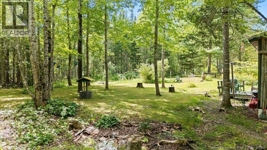 20 Harper Settlement Road, Anagance, New Brunswick  E4Z 1E6 - Photo 48 - NB146498