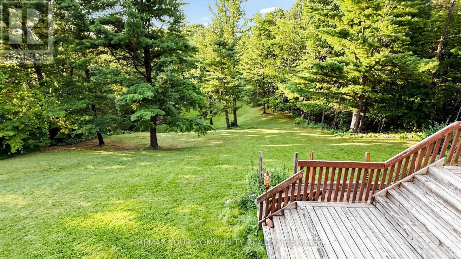 243 Ridge Road, Aurora, Ontario  L4G 0M3 - Photo 6 - N13655086