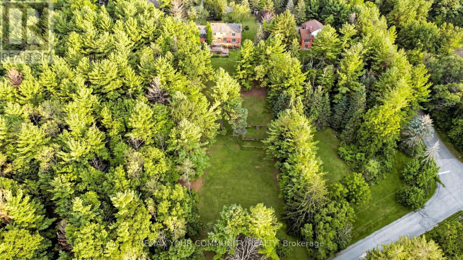 243 Ridge Road, Aurora, Ontario  L4G 0M3 - Photo 7 - N13655086