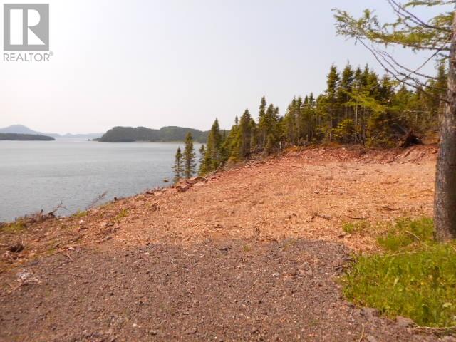 6 Power House Hill, Springdale, Newfoundland & Labrador  A0J 1T0 - Photo 6 - 1300097