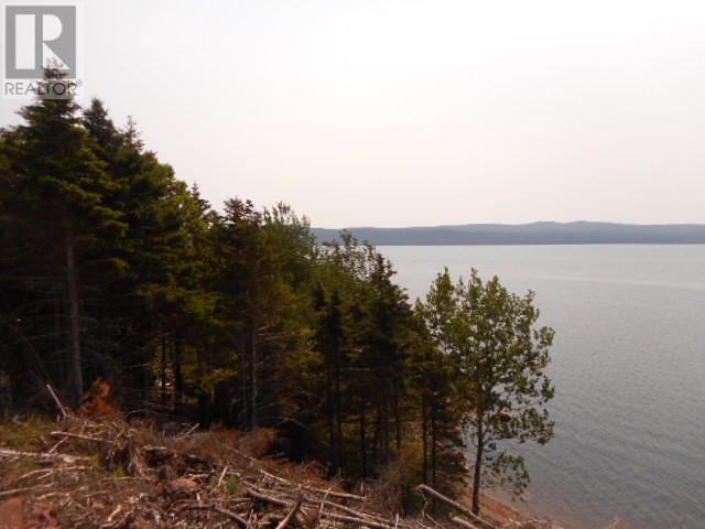 6 Power House Hill, Springdale, Newfoundland & Labrador  A0J 1T0 - Photo 10 - 1300097