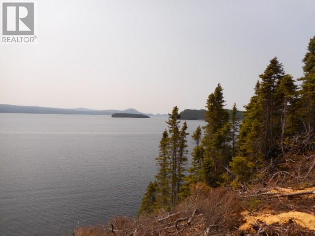 6 Power House Hill, Springdale, Newfoundland & Labrador  A0J 1T0 - Photo 8 - 1300097