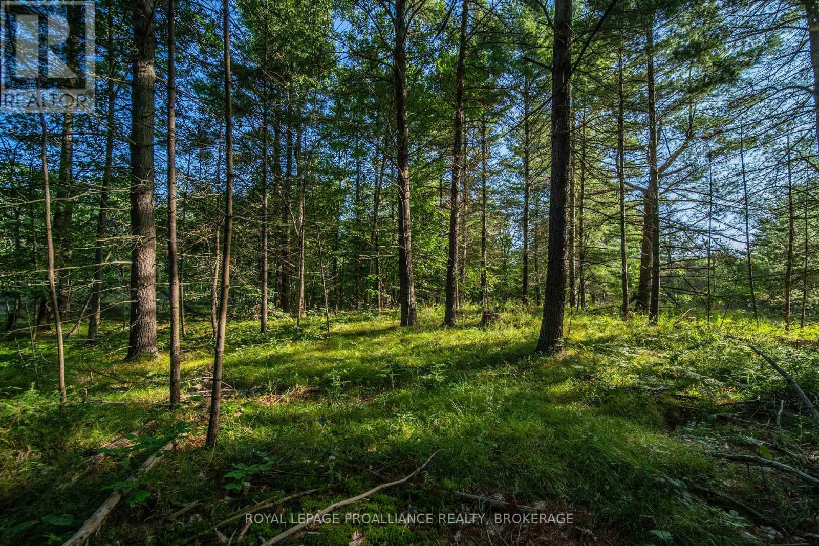 Con 11, Lot 6 Hinchinbrooke Road, Frontenac, Ontario  K0H 1W0 - Photo 24 - X13706748