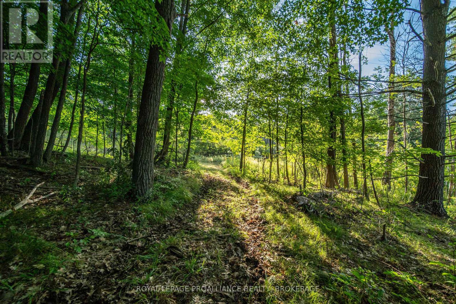Con 11, Lot 6 Hinchinbrooke Road, Frontenac, Ontario  K0H 1W0 - Photo 12 - X13706748
