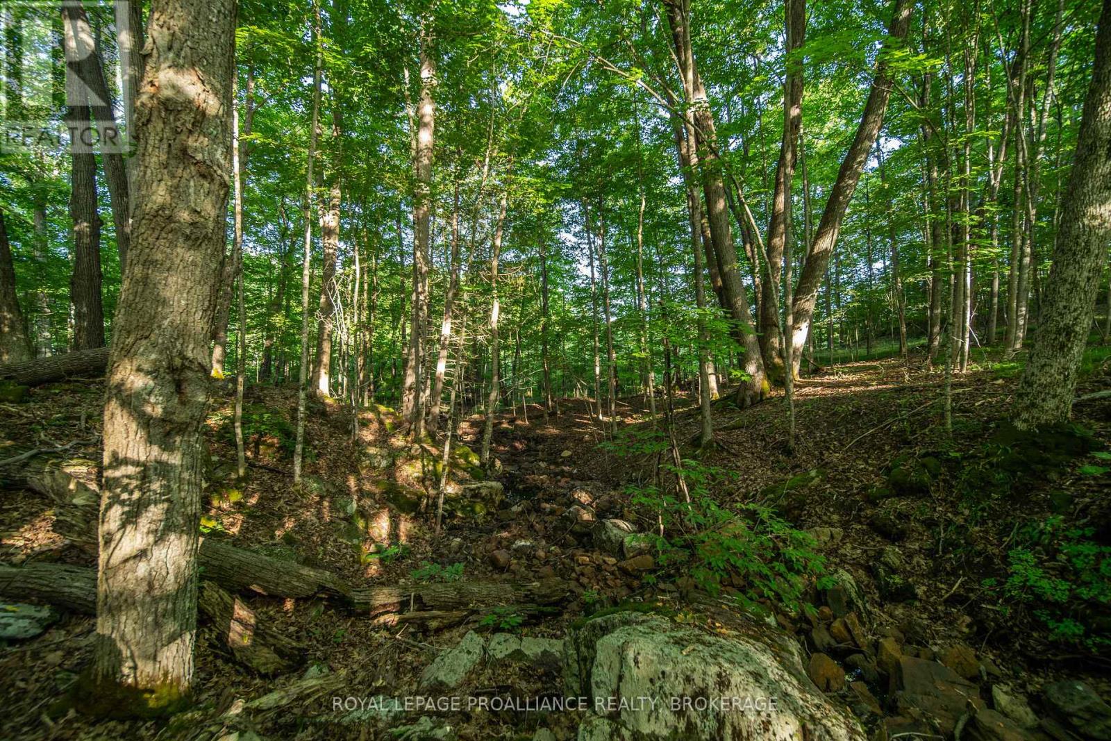 Con 11, Lot 6 Hinchinbrooke Road, Frontenac, Ontario  K0H 1W0 - Photo 15 - X13706748