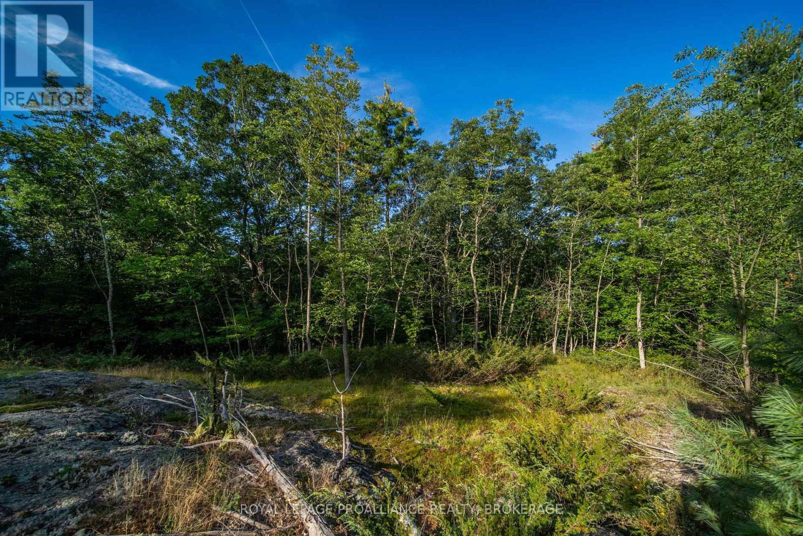 Con 11, Lot 6 Hinchinbrooke Road, Frontenac, Ontario  K0H 1W0 - Photo 22 - X13706748