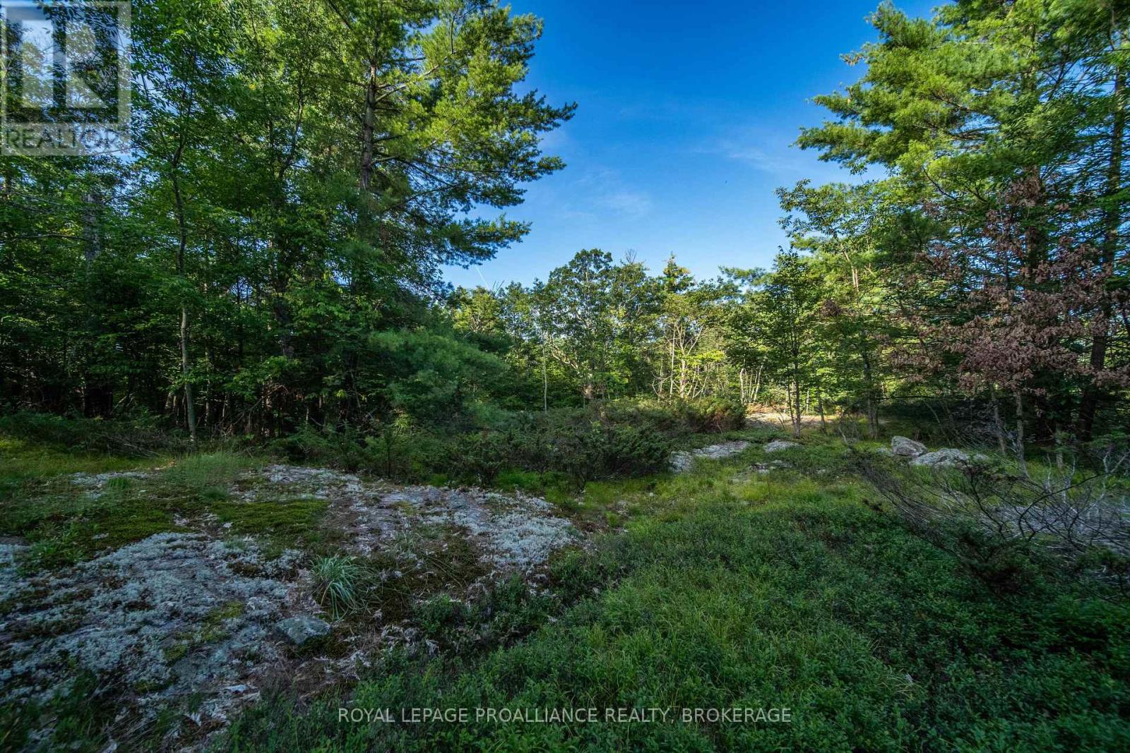 Con 11, Lot 6 Hinchinbrooke Road, Frontenac, Ontario  K0H 1W0 - Photo 21 - X13706748