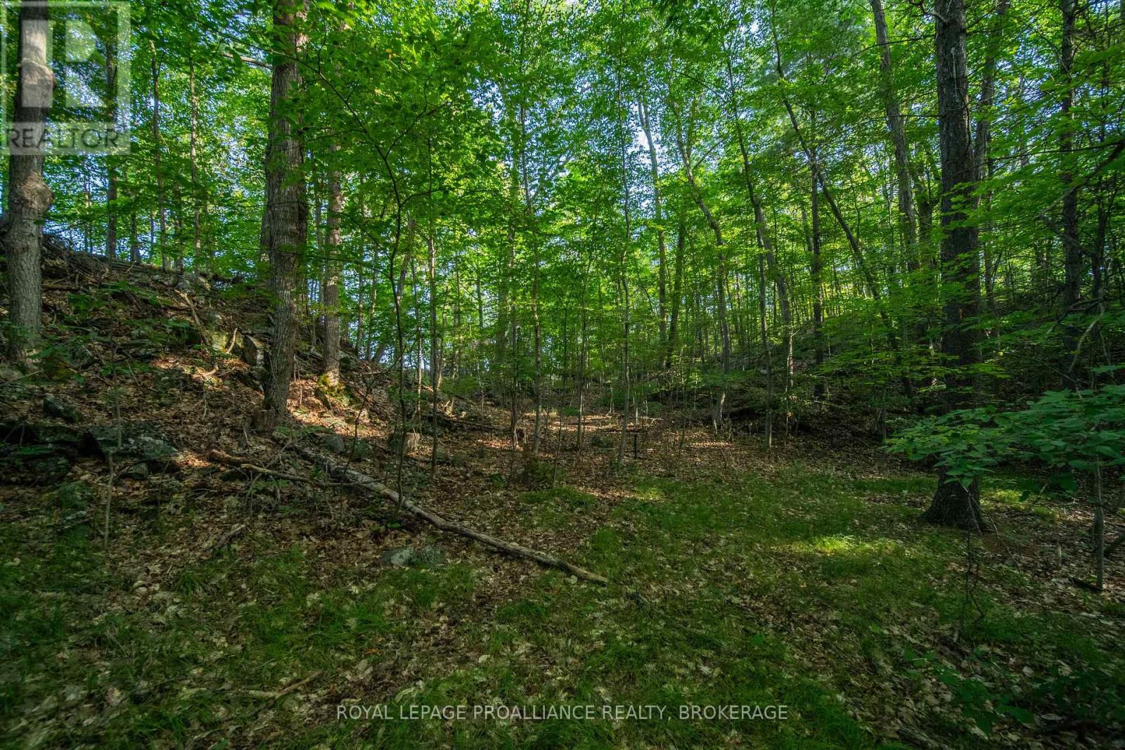 Con 11, Lot 6 Hinchinbrooke Road, Frontenac, Ontario  K0H 1W0 - Photo 18 - X13706748