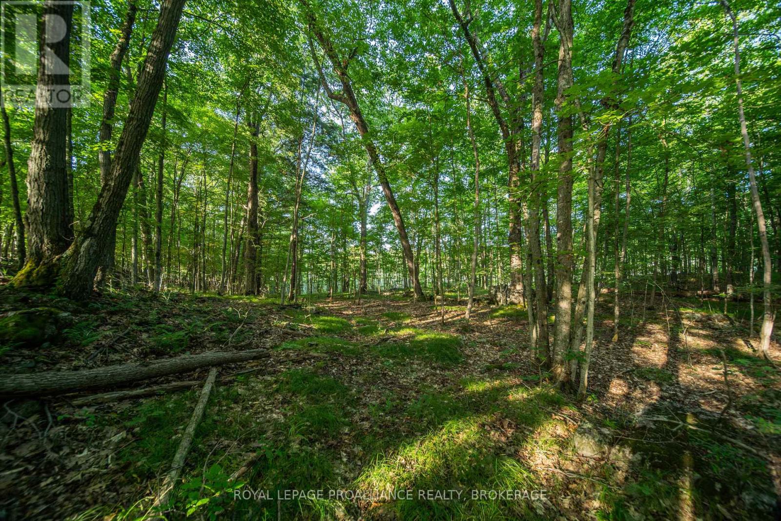 Con 11, Lot 6 Hinchinbrooke Road, Frontenac, Ontario  K0H 1W0 - Photo 13 - X13706748