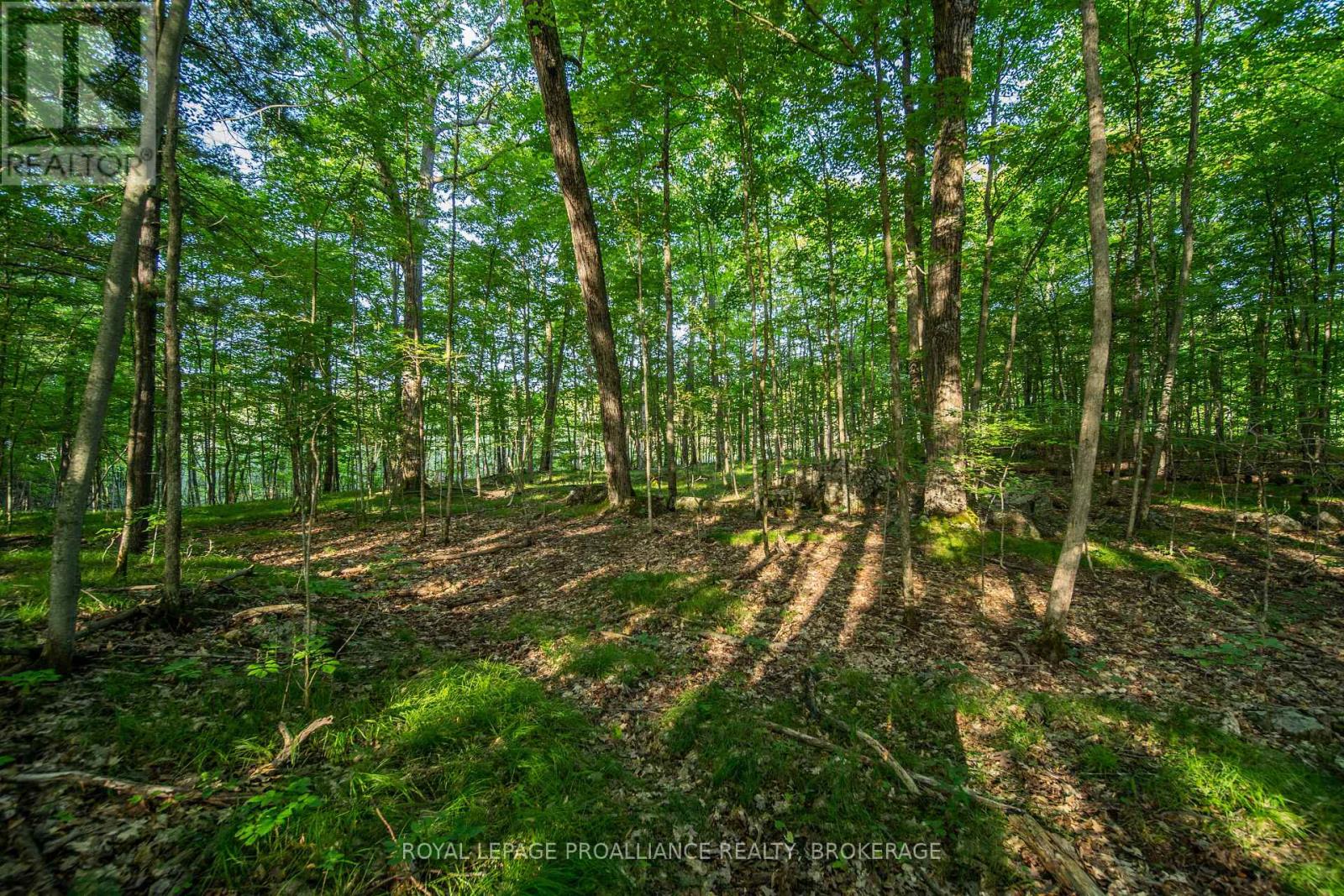 Con 11, Lot 6 Hinchinbrooke Road, Frontenac, Ontario  K0H 1W0 - Photo 14 - X13706748