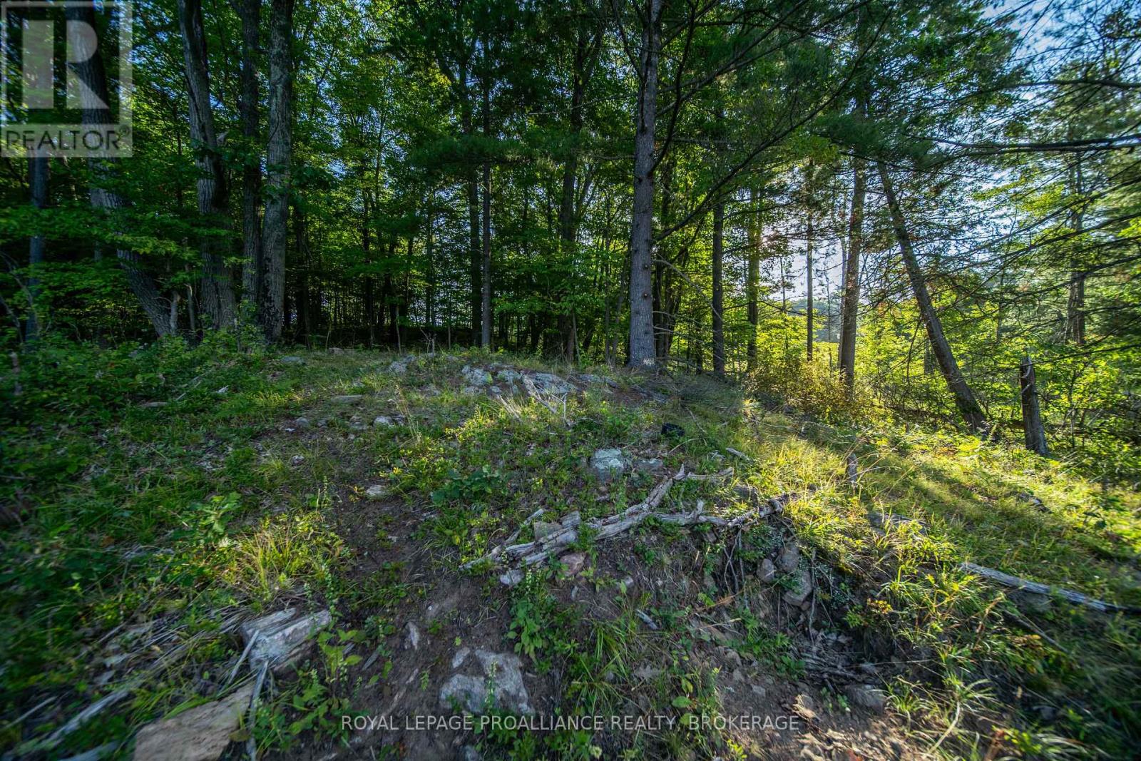 Con 11, Lot 6 Hinchinbrooke Road, Frontenac, Ontario  K0H 1W0 - Photo 10 - X13706748