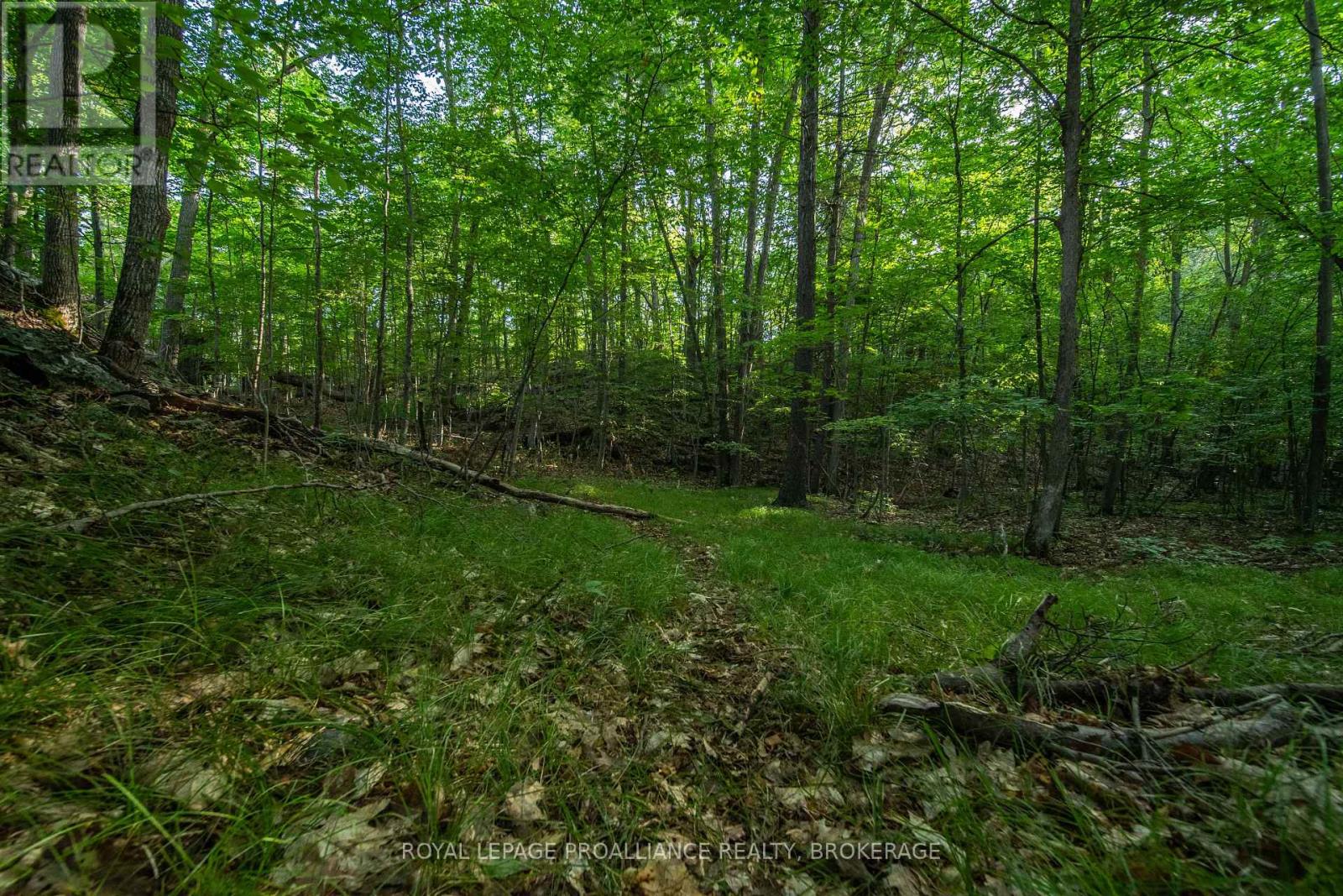 Con 11, Lot 6 Hinchinbrooke Road, Frontenac, Ontario  K0H 1W0 - Photo 19 - X13706748