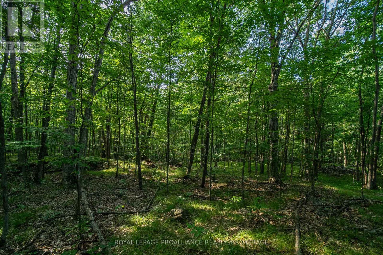 Con 11, Lot 6 Hinchinbrooke Road, Frontenac, Ontario  K0H 1W0 - Photo 20 - X13706748
