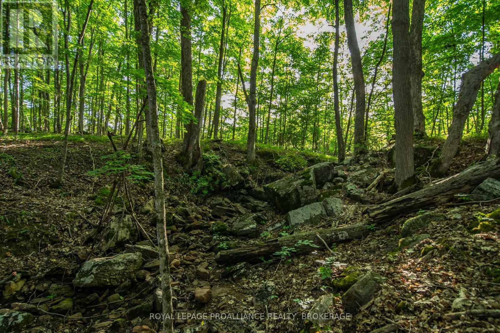 Con 11, Lot 6 Hinchinbrooke Road, Frontenac, Ontario  K0H 1W0 - Photo 16 - X13706748