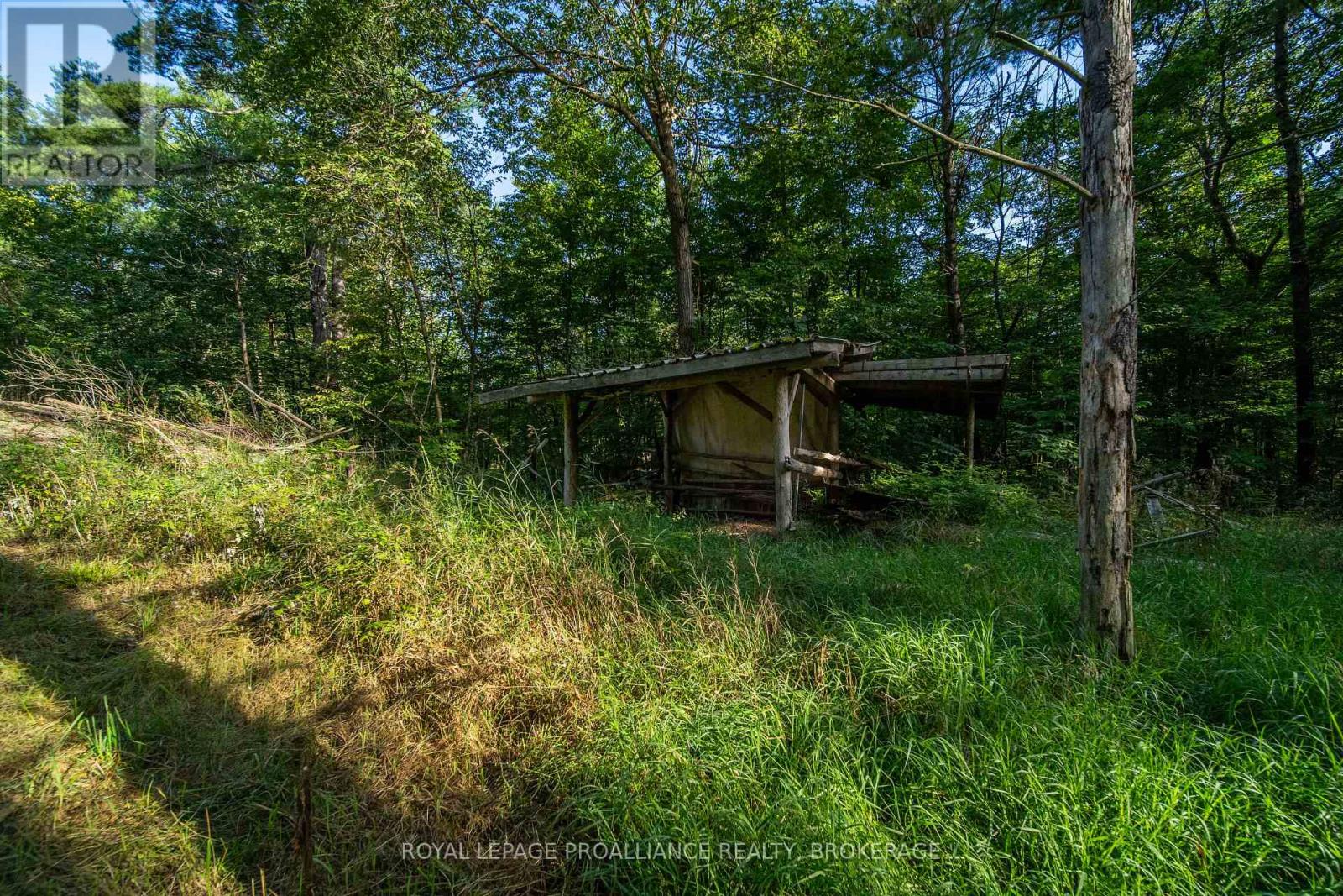 Con 11, Lot 6 Hinchinbrooke Road, Frontenac, Ontario  K0H 1W0 - Photo 25 - X13706748