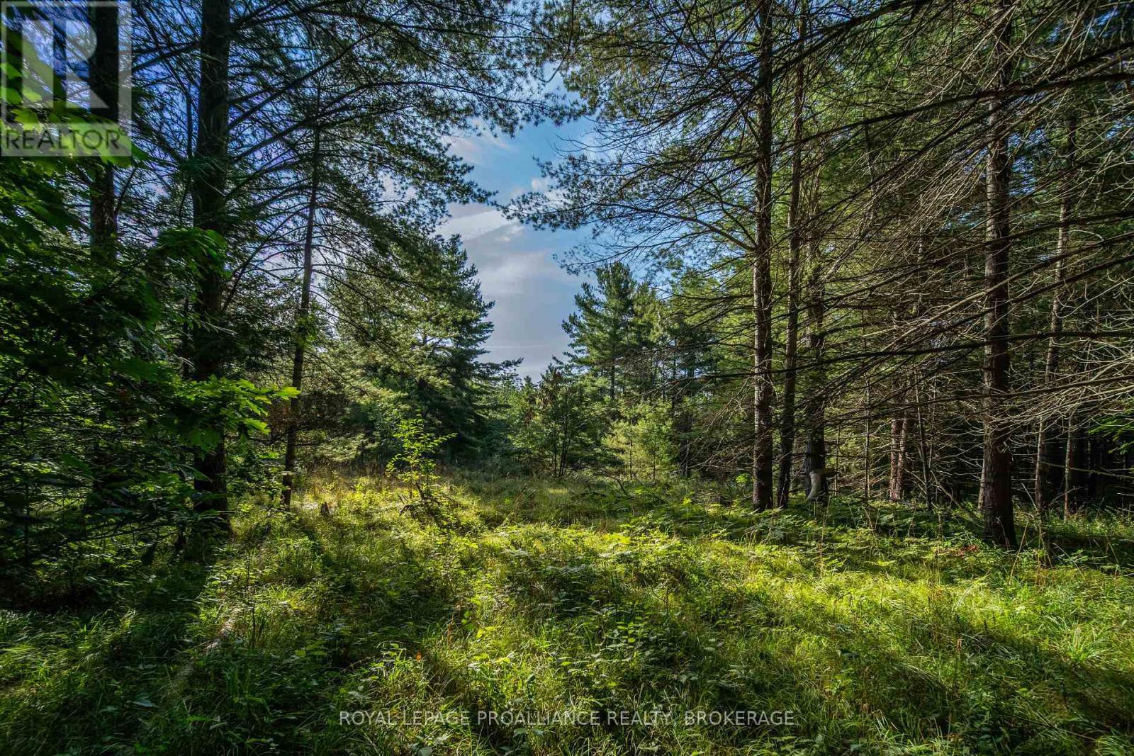 Con 11, Lot 6 Hinchinbrooke Road, Frontenac, Ontario  K0H 1W0 - Photo 27 - X13706748