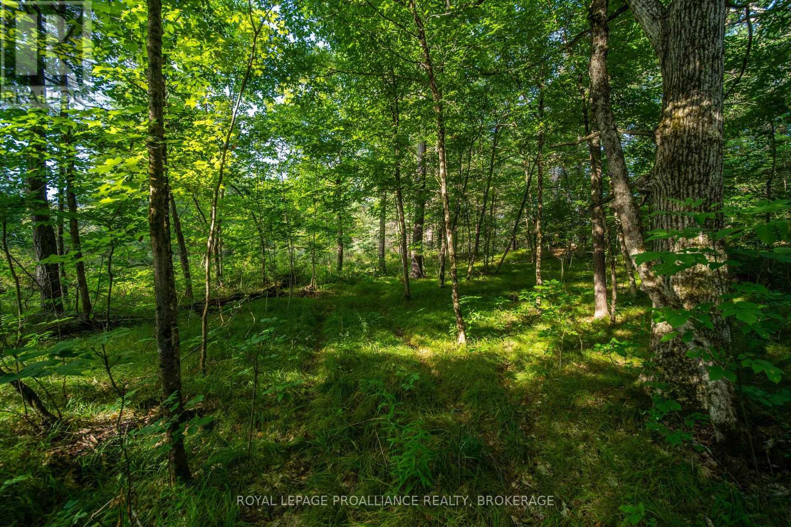 Con 11, Lot 6 Hinchinbrooke Road, Frontenac, Ontario  K0H 1W0 - Photo 26 - X13706748