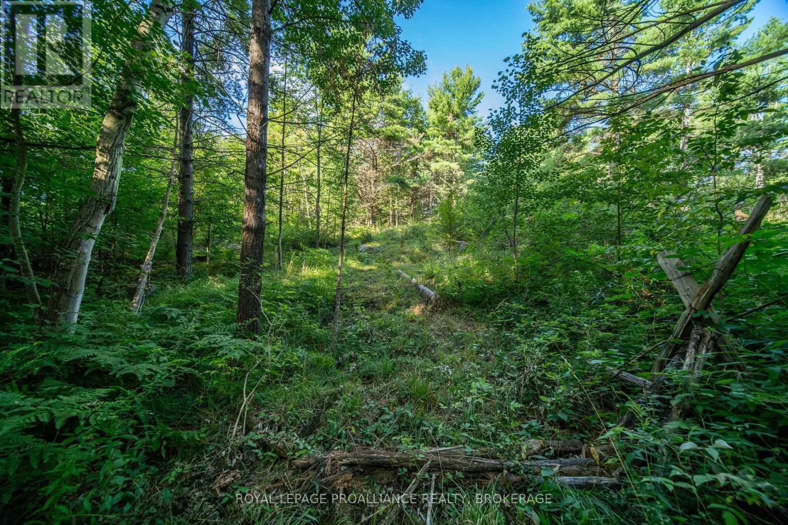 Con 11, Lot 6 Hinchinbrooke Road, Frontenac, Ontario  K0H 1W0 - Photo 33 - X13706748