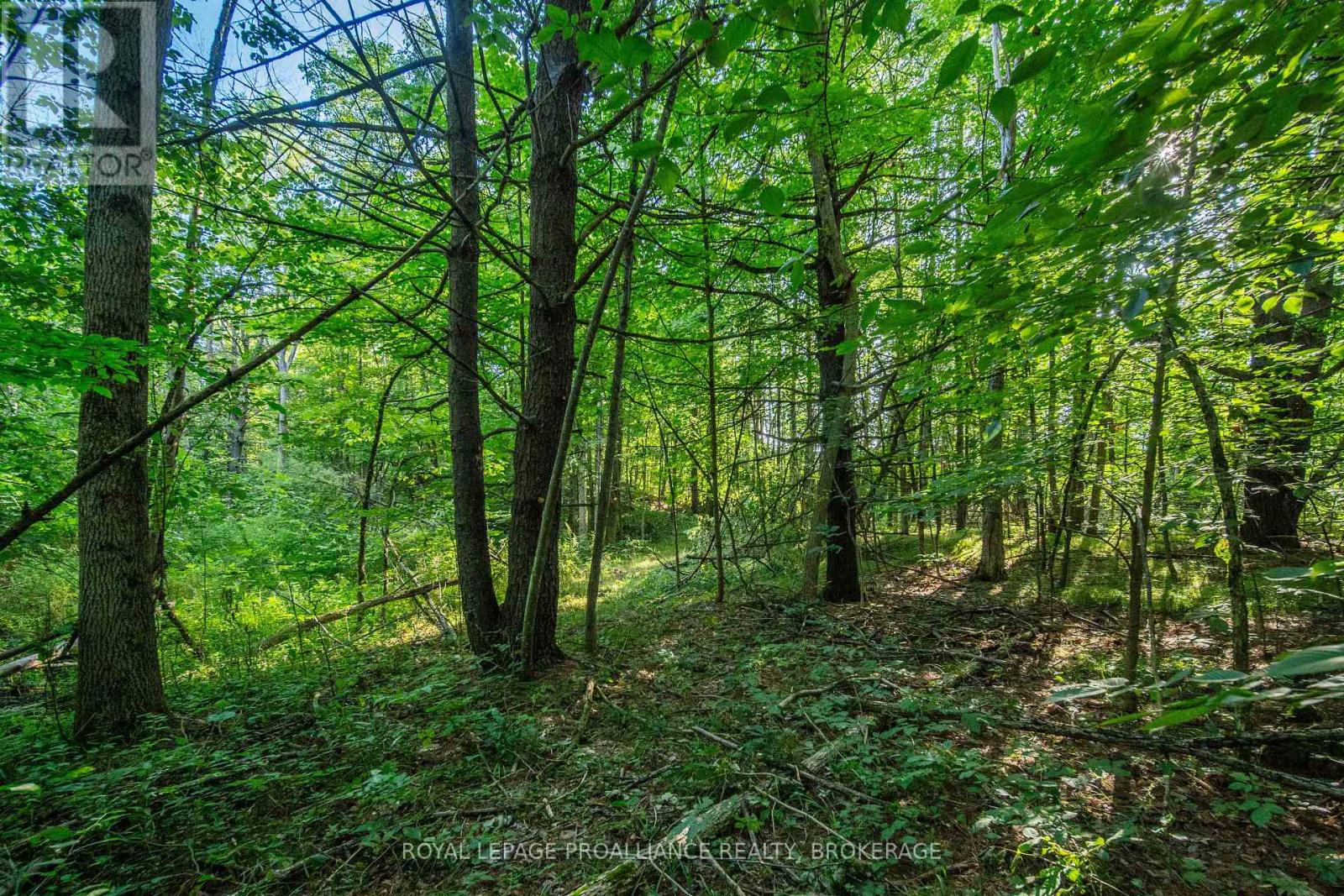 Con 11, Lot 6 Hinchinbrooke Road, Frontenac, Ontario  K0H 1W0 - Photo 32 - X13706748