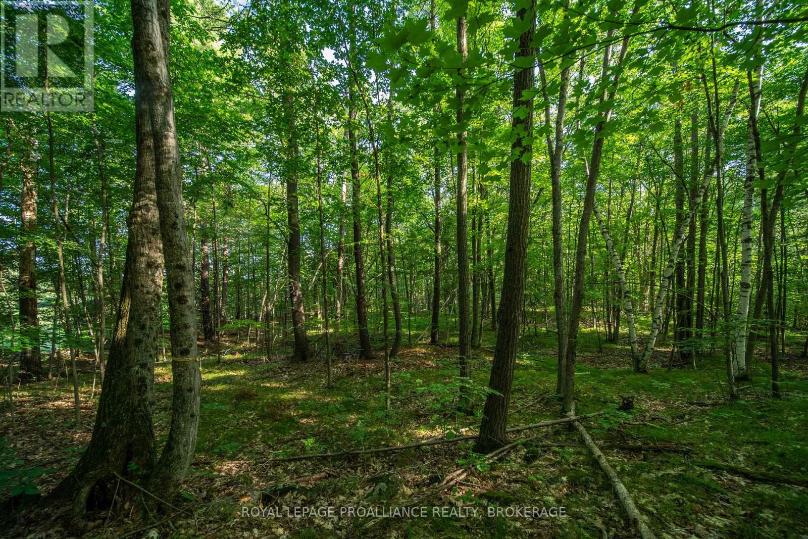 Con 11, Lot 6 Hinchinbrooke Road, Frontenac, Ontario  K0H 1W0 - Photo 29 - X13706748