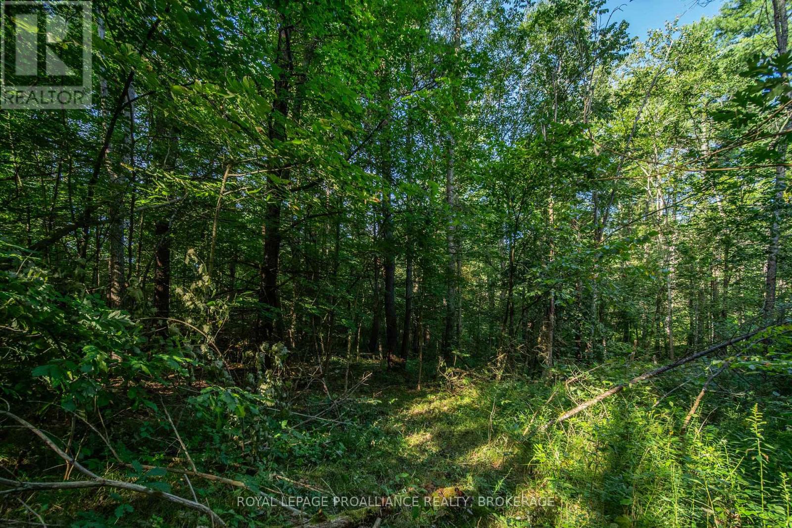 Con 11, Lot 6 Hinchinbrooke Road, Frontenac, Ontario  K0H 1W0 - Photo 31 - X13706748