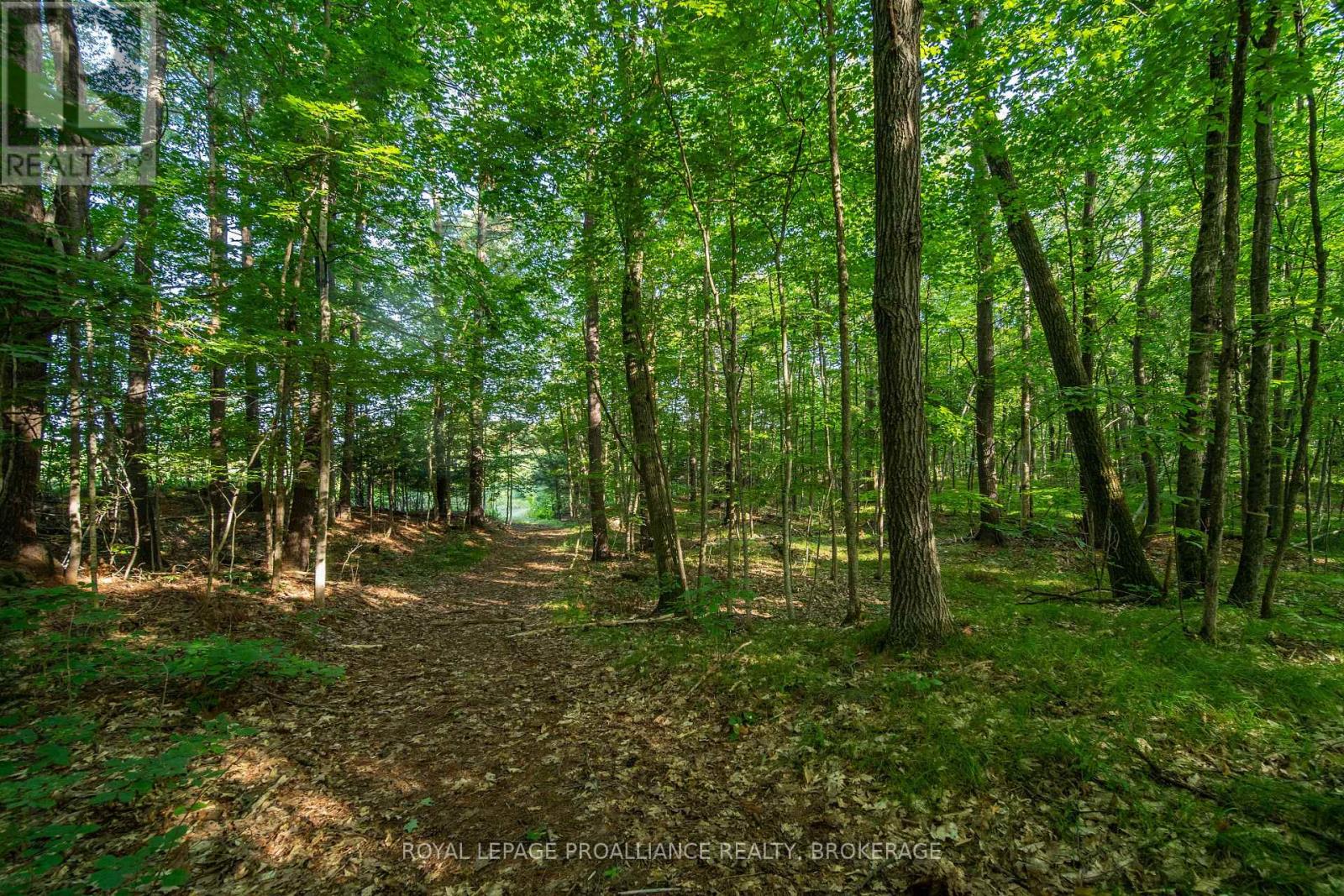 Con 11, Lot 6 Hinchinbrooke Road, Frontenac, Ontario  K0H 1W0 - Photo 28 - X13706748