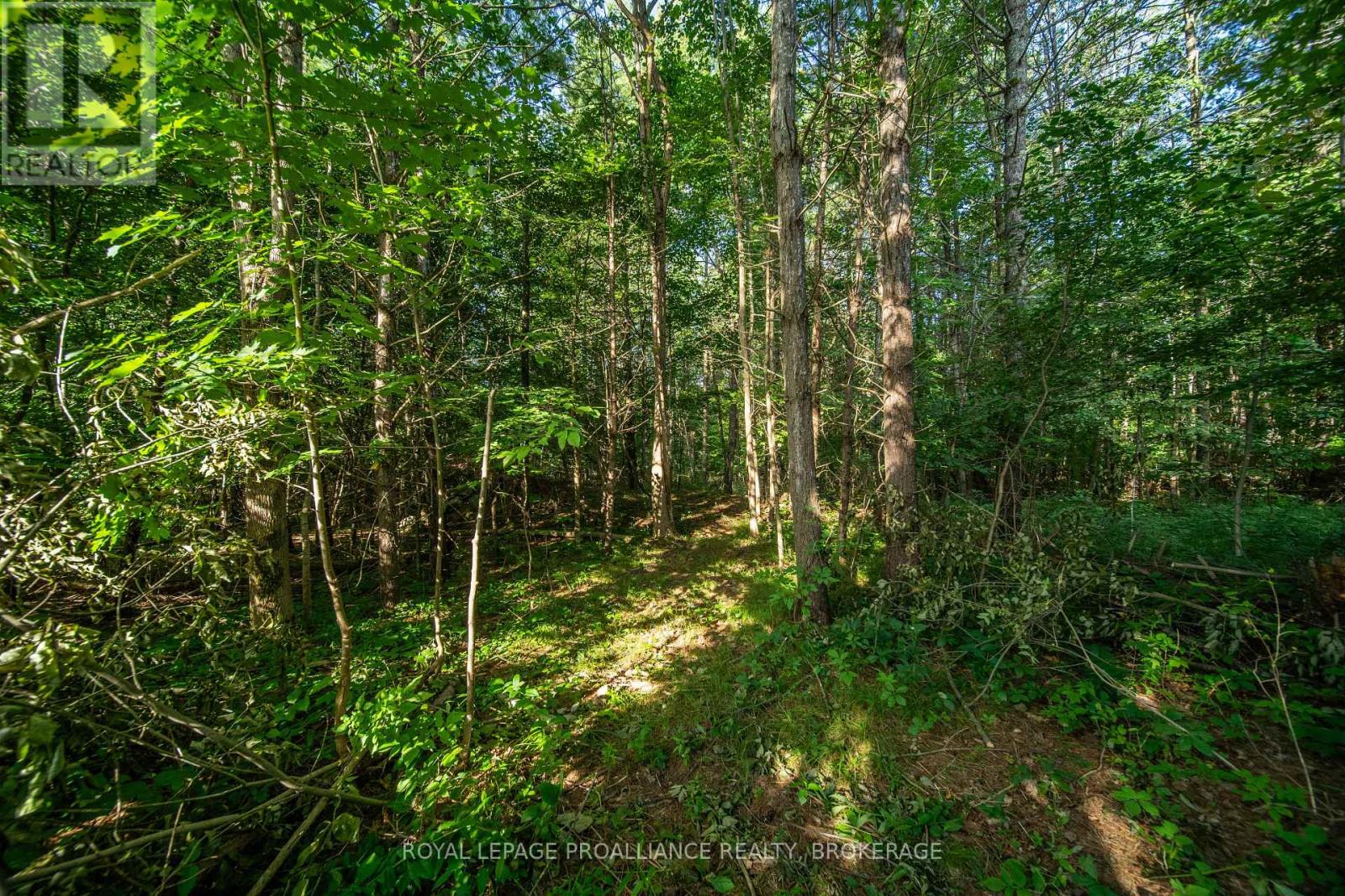 Con 11, Lot 6 Hinchinbrooke Road, Frontenac, Ontario  K0H 1W0 - Photo 30 - X13706748