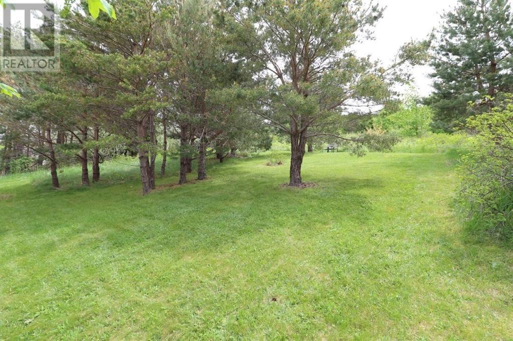 454 Seaforest Drive, Cupids, Newfoundland & Labrador  A0A 2B0 - Photo 33 - 1301860
