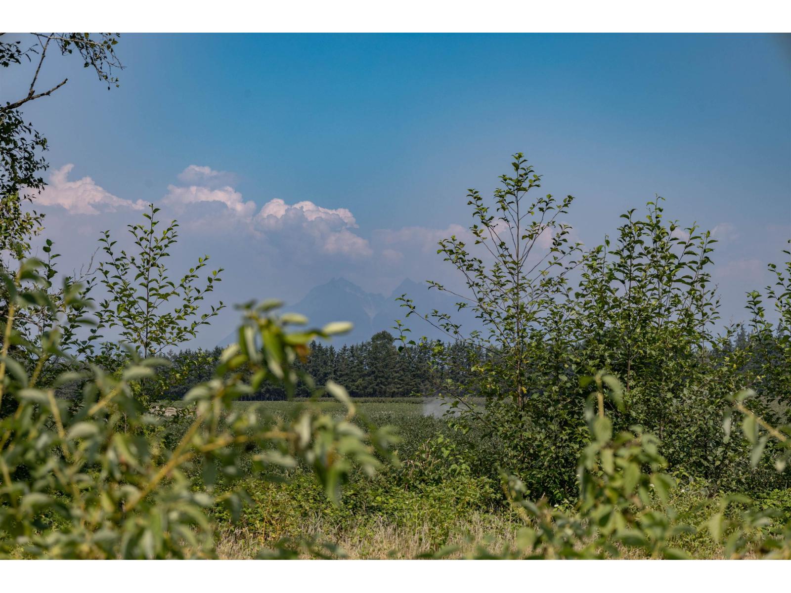 5986 232 Street, Langley, British Columbia  V0V 0V0 - Photo 6 - R3155362