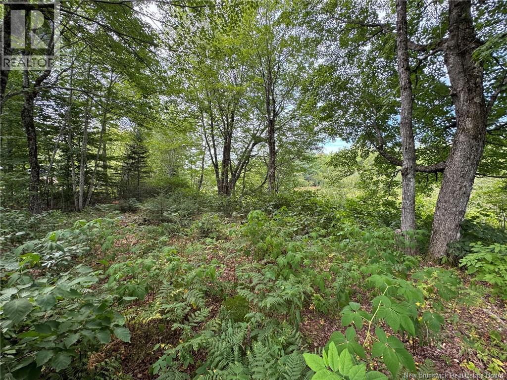 Vacant Lot 750 Route, Valley Road, New Brunswick  E3L 4V1 - Photo 23 - NB146545
