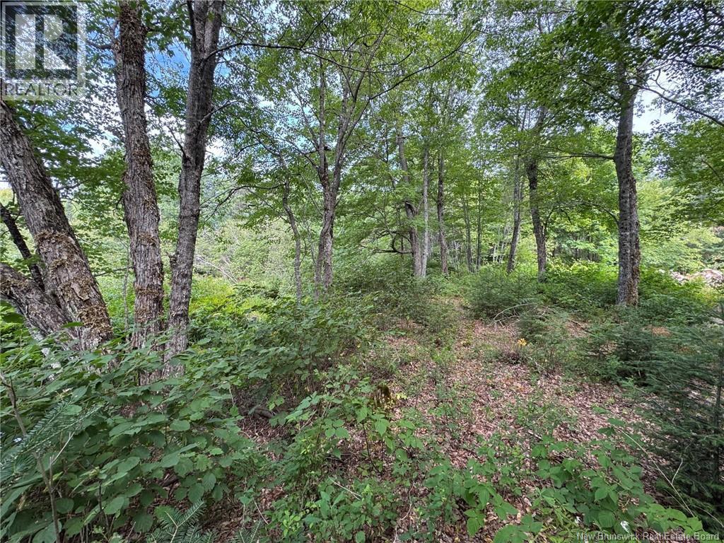 Vacant Lot 750 Route, Valley Road, New Brunswick  E3L 4V1 - Photo 22 - NB146545
