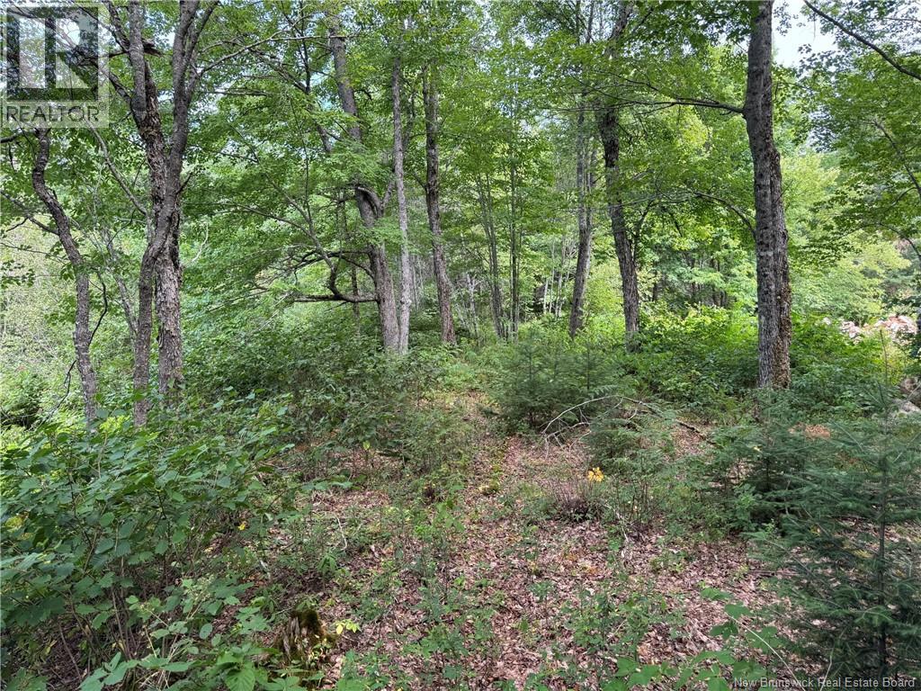 Vacant Lot 750 Route, Valley Road, New Brunswick  E3L 4V1 - Photo 20 - NB146545