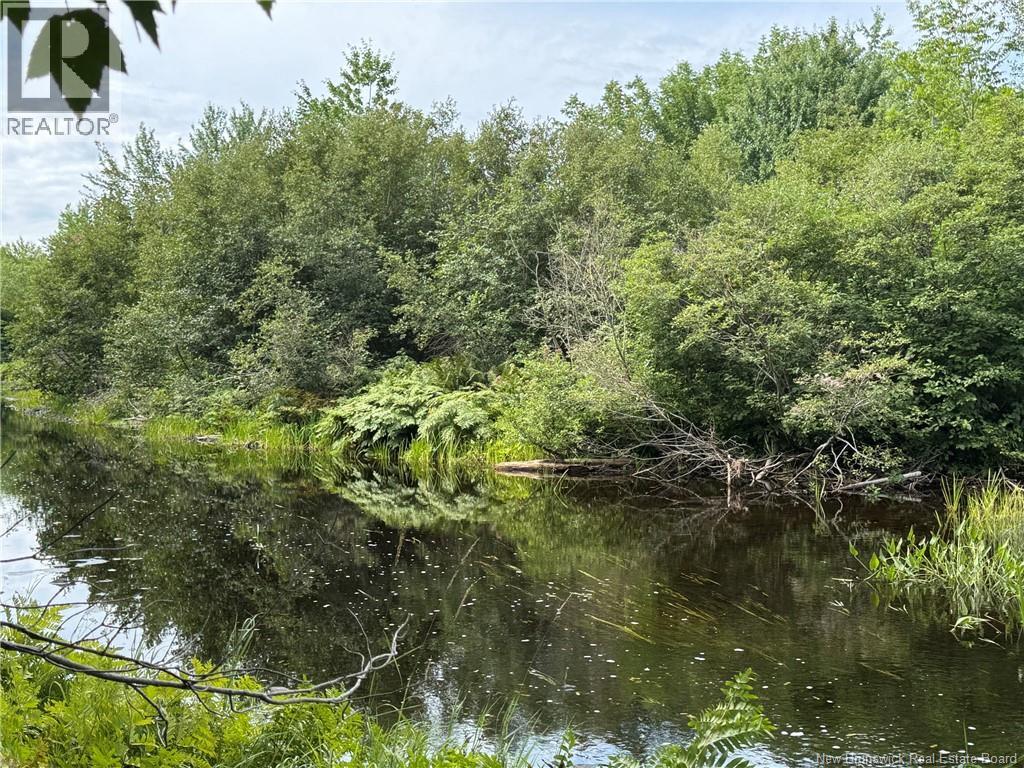 Vacant Lot 750 Route, Valley Road, New Brunswick  E3L 4V1 - Photo 27 - NB146545