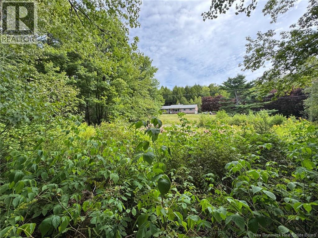 Vacant Lot 750 Route, Valley Road, New Brunswick  E3L 4V1 - Photo 24 - NB146545