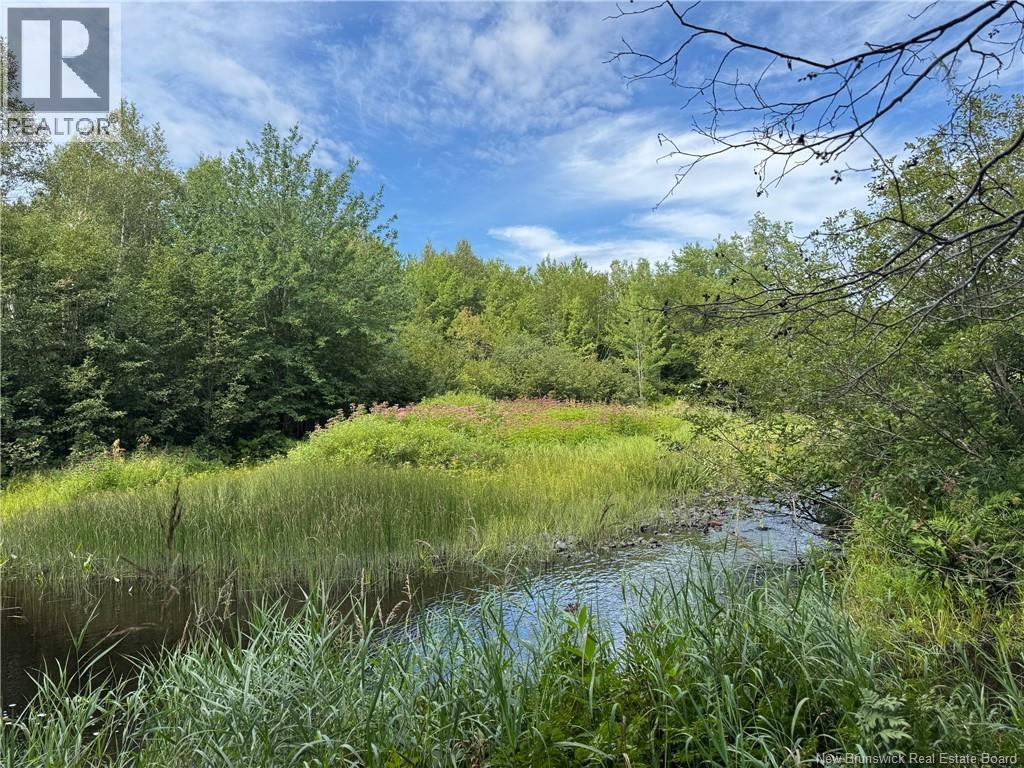 Vacant Lot 750 Route, Valley Road, New Brunswick  E3L 4V1 - Photo 26 - NB146545