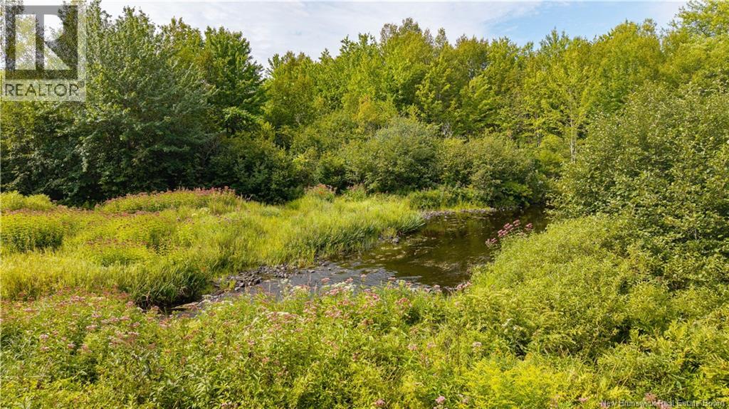 Vacant Lot 750 Route, Valley Road, New Brunswick  E3L 4V1 - Photo 13 - NB146545